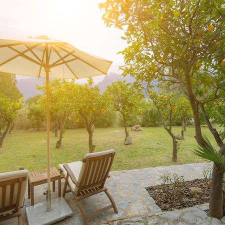 Finca Can Coll Boutique Country House - Adults Only 소예르 외부 사진