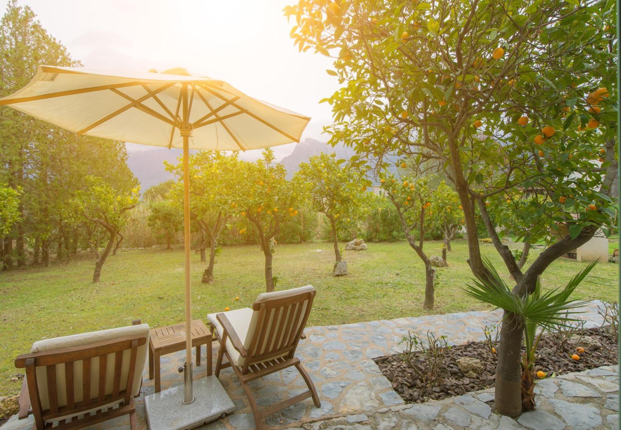 Finca Can Coll Boutique Country House - Adults Only 소예르 외부 사진